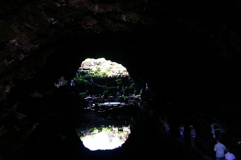 Kanary_2010 253
